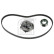 Water Pump & Timing Belt Set 173132 FEBI, Thumbnail 2