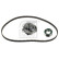 Water Pump & Timing Belt Set 173181 FEBI, Thumbnail 2