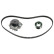 Water Pump & Timing Belt Set 173524 FEBI