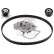 Water Pump & Timing Belt Set 32722 FEBI, Thumbnail 2