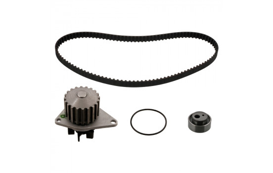 Water Pump & Timing Belt Set 45112 FEBI