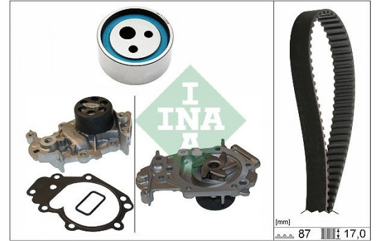 Water Pump & Timing Belt Set 530 0182 31 Ina
