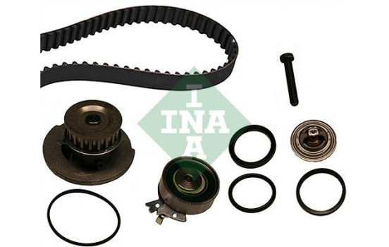 Water Pump & Timing Belt Set 530000430 Ina