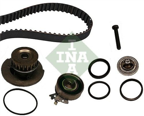 Water Pump & Timing Belt Set 530000431 Ina