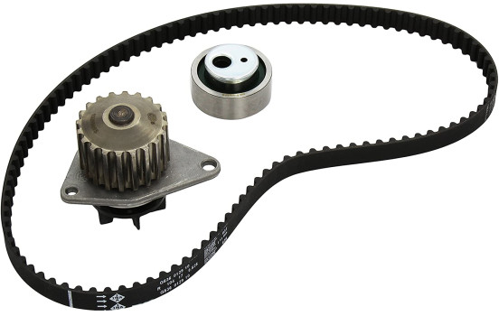 Water Pump & Timing Belt Set 530001230 Ina