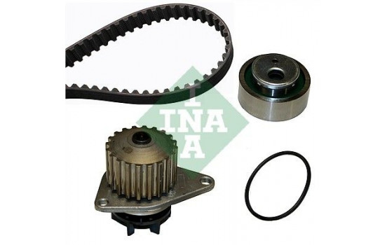 Water Pump & Timing Belt Set 530001630 Ina