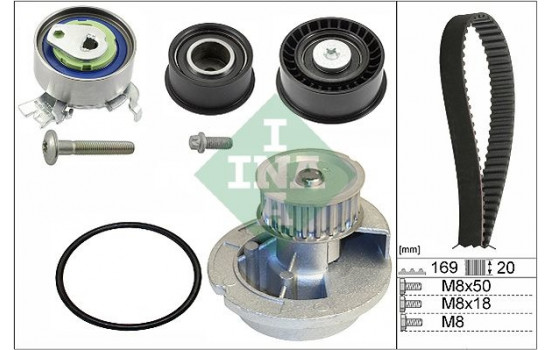 Water Pump & Timing Belt Set 530007831 Ina