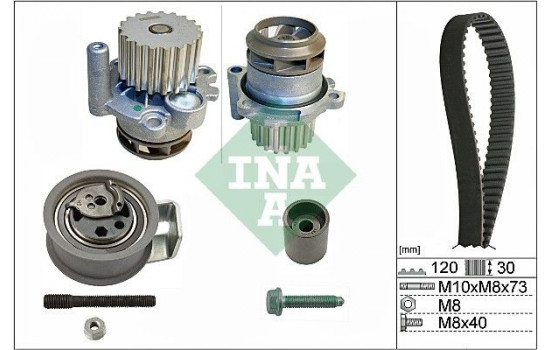 Water Pump & Timing Belt Set 530009130 Ina