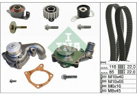 Water Pump & Timing Belt Set 530010431 Ina