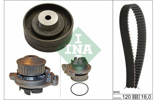 Water Pump & Timing Belt Set 530015130 Ina