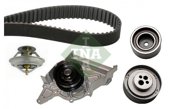 Water Pump & Timing Belt Set 530015830 Ina