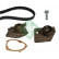 Water Pump & Timing Belt Set 530019630 Ina, Thumbnail 2