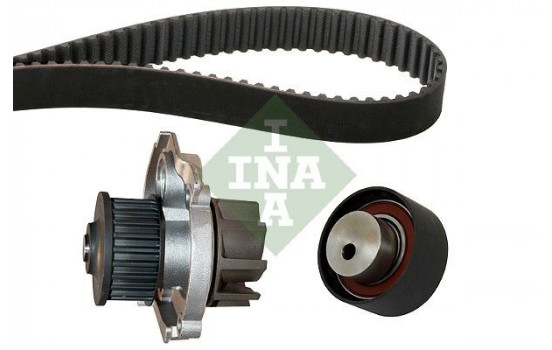 Water Pump & Timing Belt Set 530022830 Ina