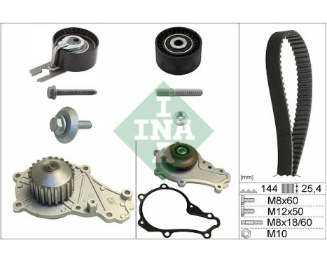Water Pump & Timing Belt Set 530023930 Ina