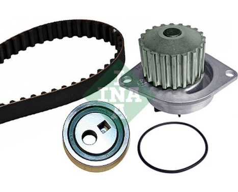 Water Pump & Timing Belt Set 530025230 Ina