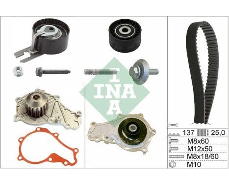 Water Pump & Timing Belt Set 530037530 Ina