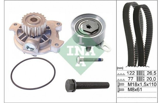 Water Pump & Timing Belt Set 530040630 Ina