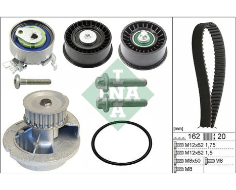 Water Pump & Timing Belt Set 530044131 Ina