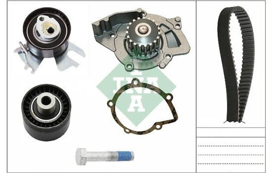 Water Pump & Timing Belt Set 530044930 Ina