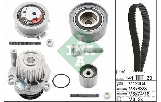 Water Pump & Timing Belt Set 530046330 Ina
