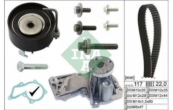 Water Pump & Timing Belt Set 530049530 Ina