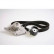 Water Pump & Timing Belt Set CT1035WP3 Contitech