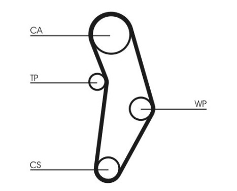 Water Pump & Timing Belt Set CT1049WP1 Contitech, Image 6