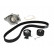 Water Pump & Timing Belt Set CT1091WP1 Contitech