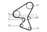 Water Pump & Timing Belt Set CT1104WP1 Contitech