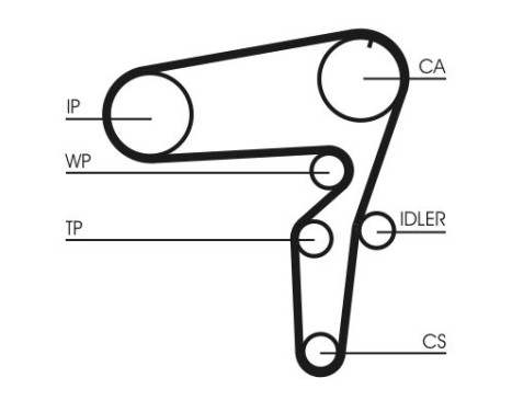 Water Pump & Timing Belt Set CT1105WP2 Contitech, Image 4