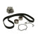 Water Pump & Timing Belt Set CT1145WP1 Contitech