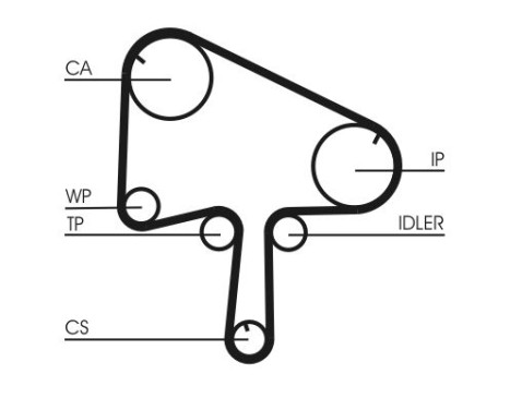 Water Pump & Timing Belt Set CT1145WP1 Contitech, Image 3