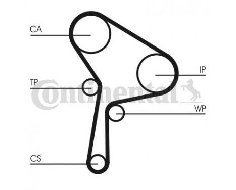 Water Pump & Timing Belt Set CT1150WP1 Contitech