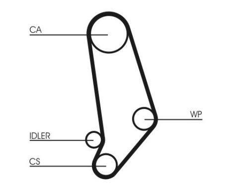 Water Pump & Timing Belt Set CT539WP1 Contitech, Image 6