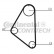 Water Pump & Timing Belt Set CT558WP1 Contitech, Thumbnail 2