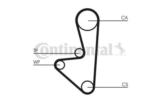 Water Pump & Timing Belt Set CT718WP1 Contitech, Image 7