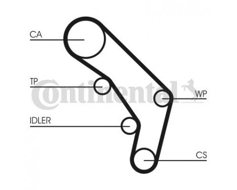 Water Pump & Timing Belt Set CT755WP1 Contitech, Image 5