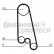 Water Pump & Timing Belt Set CT874WP5 Contitech, Thumbnail 2