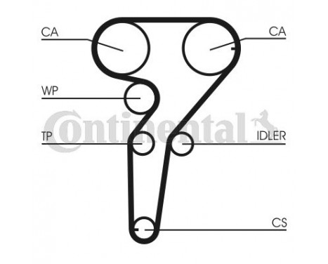 Water Pump & Timing Belt Set CT877WP1 Contitech, Image 2