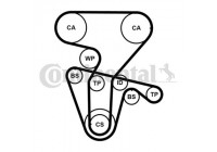 Water Pump & Timing Belt Set CT877WP4PRO Contitech