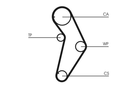 Water Pump & Timing Belt Set CT927WP1 Contitech, Image 7