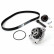 Water Pump & Timing Belt Set CT939WP2 Contitech