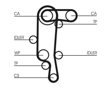 Water Pump & Timing Belt Set CT957WP4 Contitech, Image 3