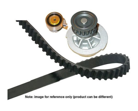 Water Pump & Timing Belt Set DKW-1010 Kavo parts