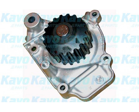 Water Pump & Timing Belt Set DKW-2008 Kavo parts, Image 2