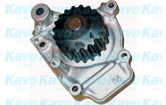Water Pump & Timing Belt Set DKW-2008 Kavo parts, Image 2