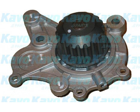 Water Pump & Timing Belt Set DKW-3002 Kavo parts, Image 2