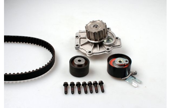 Water Pump & Timing Belt Set PK00613 Hepu