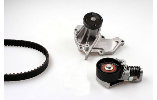 Water Pump & Timing Belt Set PK02351 Hepu