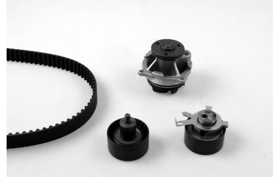 Water Pump & Timing Belt Set PK02361 Hepu